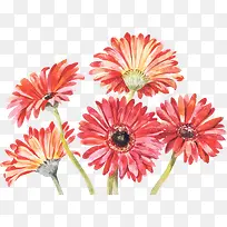 ˮ�ʺ�ɫ��Ұ�ջ�-������