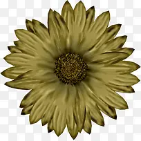 ��ɫ�ֻ�ˮ��Ұ�ջ�-������