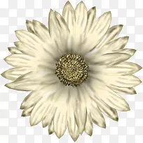 ��ɫ�ֻ�ˮ��Ұ�ջ�-������