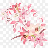 香水百合插画矢量图-空若网 香水百合插画矢量图-空若网