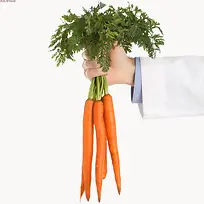 手绘食物图案 红萝卜-空若网 手绘食物图案 红萝卜-空若网