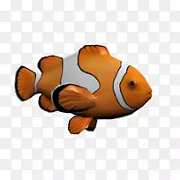 科学之家计算机图形剪辑艺术-尼莫-空若网 科学之家计算机图形剪辑艺术-尼莫-空若网