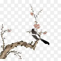 ϲ��ü��-������