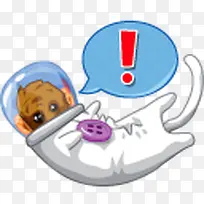 可爱白色的小猫咪-空若网 可爱白色的小猫咪-空若网