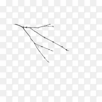 ��֦��-����-������