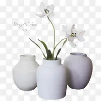 �ֻ滨���زĻ���ʸ���ز�-������