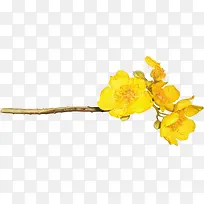 ����ps�ز���仨��-������