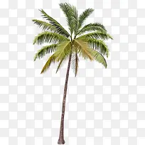 花草画花卉图案素材-空若网 花草画花卉图案素材-空若网