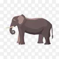 ��ͨʸ����������ز�-������