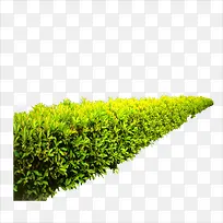 草坪-空若网 草坪-空若网