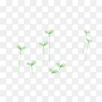 绿色小草-空若网 绿色小草-空若网