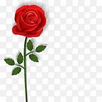 美丽红色玫瑰花枝矢量素材-空若网 美丽红色玫瑰花枝矢量素材-空若网