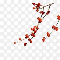 手绘红豆-空若网 手绘红豆-空若网