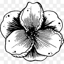 手绘花朵-空若网 手绘花朵-空若网