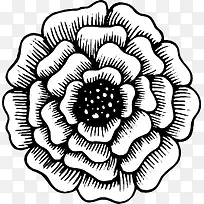 手绘花朵-空若网 手绘花朵-空若网