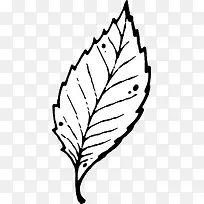 手绘树叶-空若网 手绘树叶-空若网