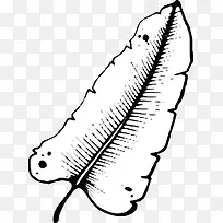 手绘树叶-空若网 手绘树叶-空若网