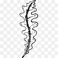 手绘树叶-空若网 手绘树叶-空若网