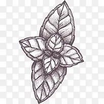 手绘精美黑白树叶-空若网 手绘精美黑白树叶-空若网