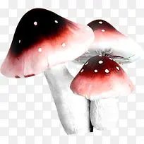 彩色春天蘑菇造型-空若网 彩色春天蘑菇造型-空若网