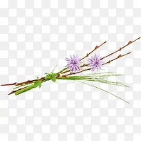 ����-������