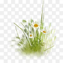 �ʻ� ���� ���� С�� ��-������