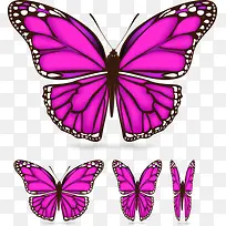 ƯÁÁµÄ×ÏÉ«ºûµûʸÁ¿ËزÄ-¿ÕÈôÍø ƯÁÁµÄ×ÏÉ«ºûµûʸÁ¿ËزÄ-¿ÕÈôÍø