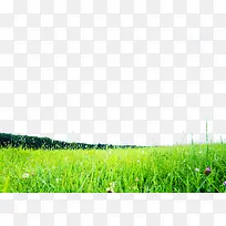 ������Ӱ�ݴԻ�԰���-������