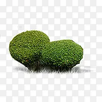 高清摄影绿色花园草丛-空若网 高清摄影绿色花园草丛-空若网