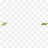 高清花园草丛高清摄影-空若网 高清花园草丛高清摄影-空若网