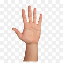 卡通伸出嫩白的小手PNG-空若网 卡通伸出嫩白的小手PNG-空若网