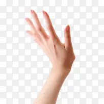 手-空若网 手-空若网