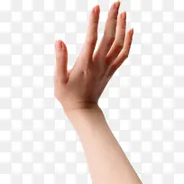 ��ģ-������