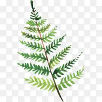 º¦Ðß²Ý-¿ÕÈôÍø º¦Ðß²Ý-¿ÕÈôÍø