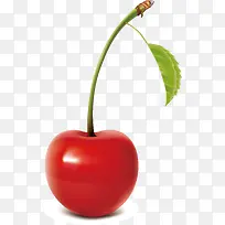 樱桃装饰设计-空若网 樱桃装饰设计-空若网