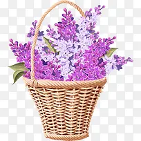 ޹�²ݻ���-������