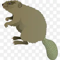 海狸卡通-空若网 海狸卡通-空若网