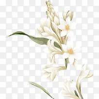 ��ɫ�ֻ�ˮ��ˮ�ɻ�-������