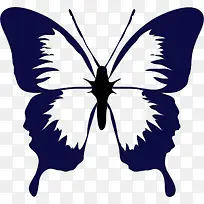 紫白色的蝴蝶-空若网 紫白色的蝴蝶-空若网