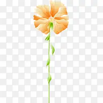 彩色花朵图-空若网 彩色花朵图-空若网