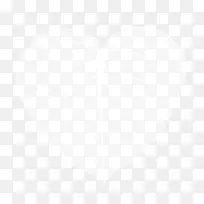 白色透明叶子-空若网 白色透明叶子-空若网