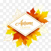 秋季标签-空若网 秋季标签-空若网