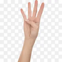 四根手指-空若网 四根手指-空若网