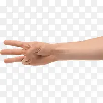三个手指的手-空若网 三个手指的手-空若网