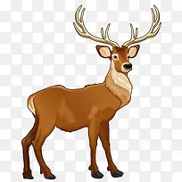 圣诞麋鹿插画风-空若网 圣诞麋鹿插画风-空若网