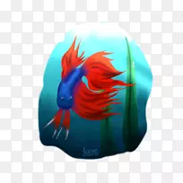 扇子艺术堕落艺术电蓝色-贝塔-空若网 扇子艺术堕落艺术电蓝色-贝塔-空若网