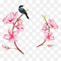 手绘水彩桃花树枝上的喜鹊-空若网 手绘水彩桃花树枝上的喜鹊-空若网