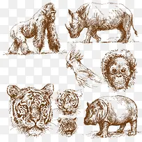 手绘野生动物设计矢量图-空若网 手绘野生动物设计矢量图-空若网