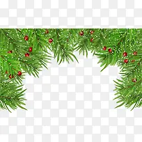 绿色松针-空若网 绿色松针-空若网