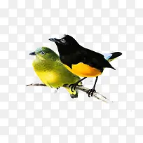 �ֻ�����廭-������